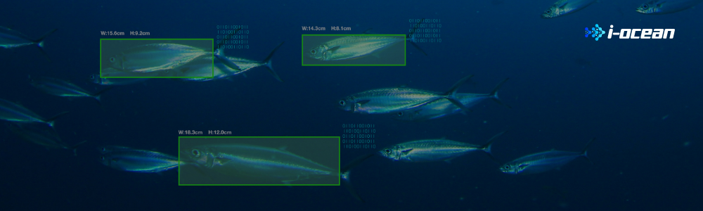AI魚体サイズ測定カメラのメインビジュアル
