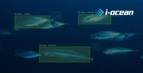 AI魚体サイズ測定カメラのメインビジュアル